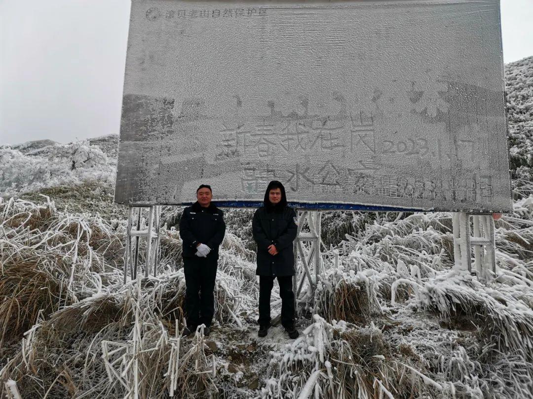 柳州在线吴，城市发展的数字力量与在线脉搏